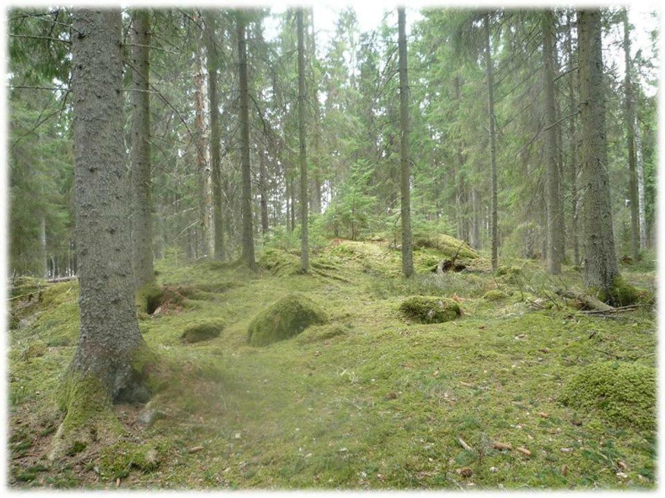 Sandvik Gard Spa & Konferens Åby Exterior foto